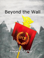 Beyond the Wall