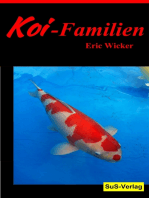 Koi-Familien