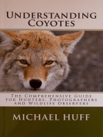 Understanding Coyotes: The Coprehensive Guide for Hunters, Photographers and Wildlife Observers