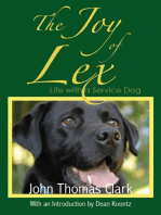 The Joy of Lex:: Life With a Service Dog