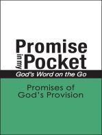 Promise In My Pocket, God's Word on the Go
