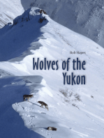 Wolves of the Yukon