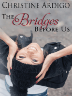 The Bridges Before Us