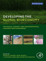 Developing the Global Bioeconomy: Technical, Market, and Environmental Lessons from Bioenergy