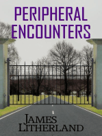 Peripheral Encounters: Slowpocalypse, #4