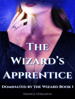 The Wizard's Apprentice (Dominated by the Wizard Book 1)