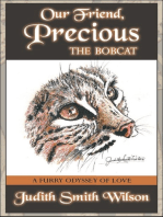 Our Friend, Precious “The Bobcat”