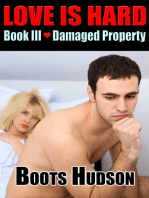 Love is Hard, Book III, Damaged Property