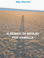 Il senso di Giulio per Camilla