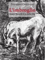 L'imbroglio. Marco Berardi il re della Sila