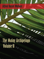 The Malay Archipelago, Volume 2.