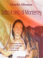 Sotto il cielo di Monterrey (Vivi le mie storie)