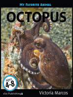 My Favorite Animal: Octopus