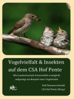 Vogelvielfalt & Insekten auf dem CSA Hof Pente: Wie Landwirtschaft Artenvielfalt ermöglicht, aufgezeigt am Beispiel einer Vogelstudie