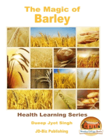 The Magic of Barley