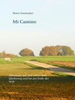 Mi Camino