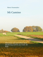 Mi Camino: Abenteuer auf und neben dem Jakobsweg und bis ans Ende der Welt