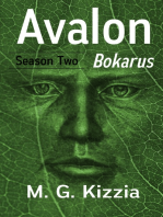 Avalon, Season Two: Bokarus