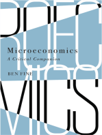 Microeconomics: A Critical Companion