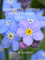 Lessons I've Learned From A Flower