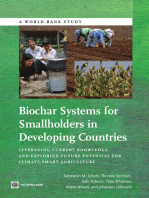 Biochar Systems for Smallholders in Developing Countries: Leveraging Current Knowledge and Exploring Future Potential for Climate-Smart Agriculture