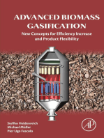 Advanced Biomass Gasification: New Concepts for Efficiency Increase and Product Flexibility