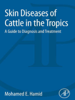 Skin Diseases of Cattle in the Tropics: A Guide to Diagnosis and Treatment