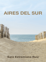 Aires del sur