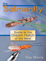The Salmonfly: Guide to the Dream Hatch of the West