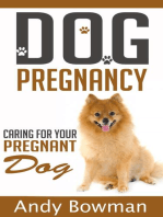Dog Pregnancy - Caring For Your Dog