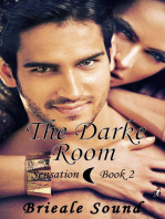 The Darke Room, Sensation Book 2