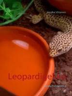 Leopardigekko: Jessyn maailma