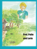 Professor Pulin und Lorin: Berichte über die Erfahrungen und Erlebnisse der Reisen. SF.