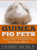 Guinea Pig Pets: Train Your Guinea Pig The Easy Way!