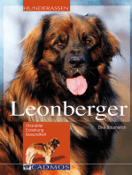 Leonberger: Charakter, Erziehung und Gesundheit