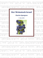 Der Weinstock Israel