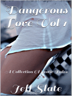 Dangerous Love Vol 1