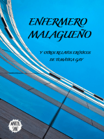 Enfermero malagueño, Y otros relatos eróticos de temática gay