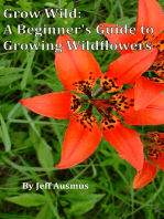 Grow Wild: A Beginner's Guild to Growing Wildflowers