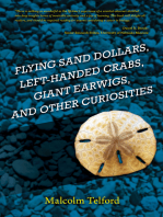 Flying Sand Dollars, Left-handed Crabs, Giant Earwigs, and Other Curiosities