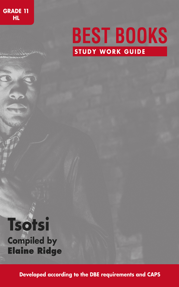 Read Study Work Guide Tsotsi Grade 11 Home Language Online by Elaine Ridge Books