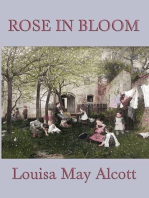 Rose In Bloom