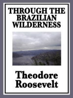 Through the Brazilian Wilderness