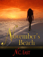 November's Beach