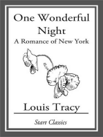One Wonderful Night: A Romance of New York