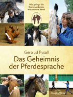 Das Geheimnis der Pferdesprache: Wie gelingt die Kommunikation mit meinem Pferd