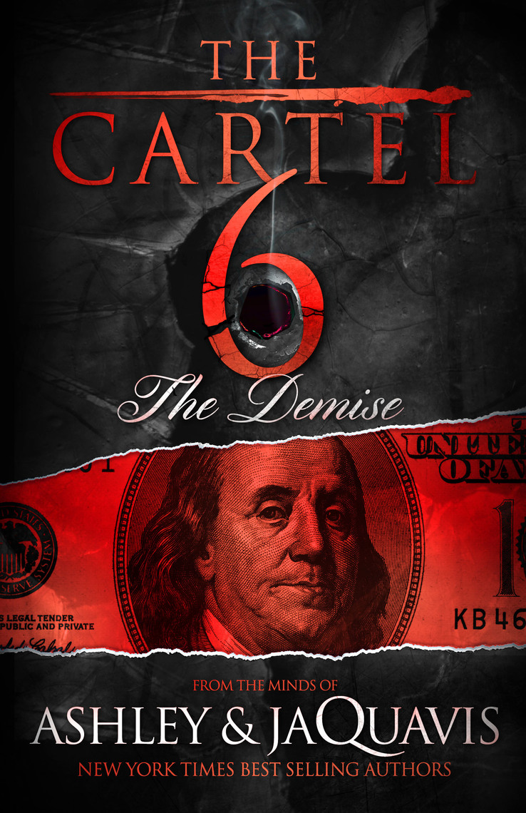 The Cartel 6 The Demise by Ashley & JaQuavis Book Read Online