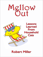 Mellow Out: Lessons Learned From Household Cats