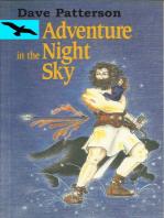 Adventure in the Night Sky
