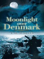 Moonlight Over Denmark
